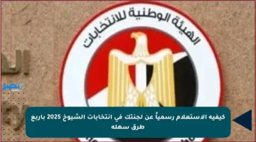 كيفية الاستعلام رسمياً عن لجنتك في انتخابات الشيوخ 2025 بأربع طرق سهلة